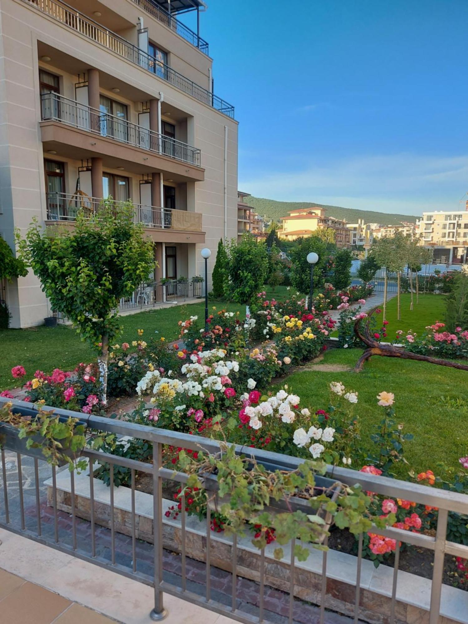 סבטי ולאס Charming Studio In Sorrento Sole Mare מראה חיצוני תמונה